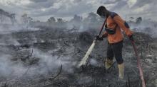 Awas Karhutla Mengintai, BPBD Anambas Siaga 24 Jam, Segera Lapor Jika Lihat Titik Api