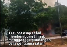 BREAKING NEWS: Kebakaran Landa Hutan Punggur, Api Masih Terus Menjalar
