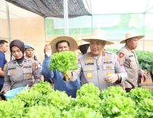 Polda Kepri Panen Sayur Hidroponik Perdana untuk Dukung Makan Bergizi Gratis