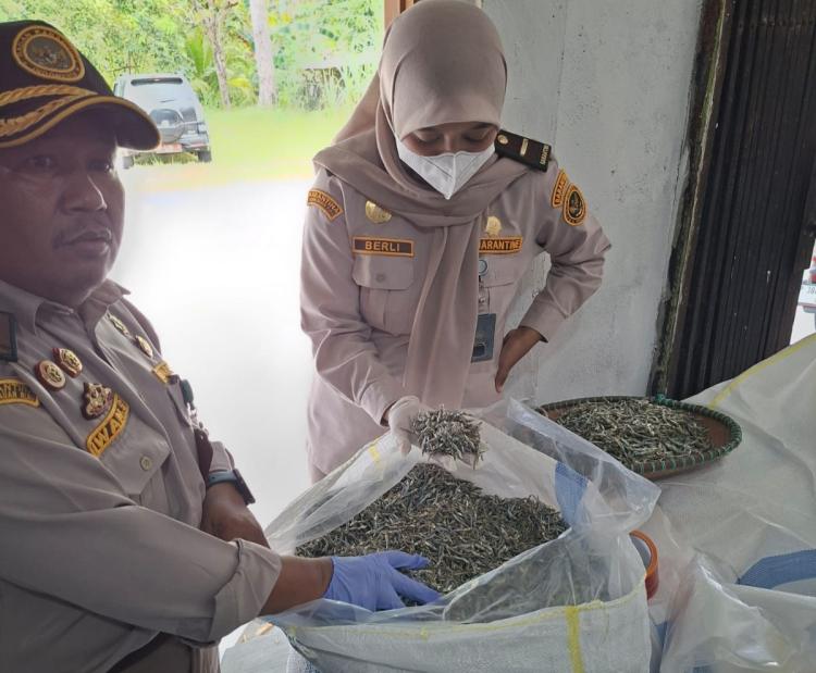 Karantina Kepri Sertifikasi 9,2 Ton Ikan Teri Kering Asal Natuna Senilai Nyaris Setengah Miliar