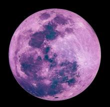 Bukan Malam Ini, Catat Jadwal Puncak Pink Moon yang Bakal Hiasi Langit Batam