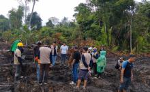 Sagu Warga Pekaka Digilas Sawit, PT CSA Ngaku Tak Sengaja, Pemkab Lingga Langsung `Semprit` Perusahaan