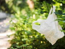 Harga Plastik Naik 80% Imbas Konflik Timur Tengah, Menteri UMKM Siapkan Mitigasi