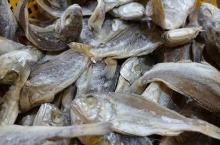 Nikmat di Lidah, Ketahui Sederet Risiko Penyakit Akibat Keseringan Makan Ikan Asin