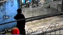 Dua Pria di Batam Terekam CCTV Racun Anjing Warga, Diduga Modus Maling