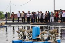 Komisi IX DPR Tinjau Tambak Udang Vaname PT Win Win Shrimp di Tanjungpinang, Dorong Ekonomi Kepri
