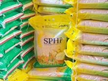 Pembelian Beras SPHP Dibatasi 25 Kg, Kepala Bapanas: Harga Tidak Naik