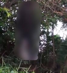 Pria Tanpa Identitas Ditemukan Tergantung di Hutan Bengkong Garama Batam, Polisi: Sudah Seminggu Meninggal