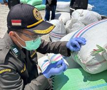 Tembus Pasar Surabaya, 7 Ton Cengkeh Natuna Lolos Pemeriksaan Ketat Karantina