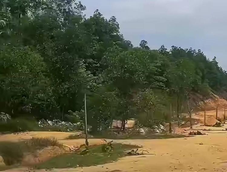 Puluhan Pohon Jati Emas di Jalan Sudirman Batam Dirusak, Polisi Amankan Satu Pelaku