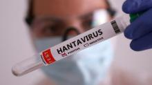 Wabah Hantavirus di Kapal Pesiar MV Hondius Meluas, Tiga Orang Meninggal dan Sejumlah Negara Siaga