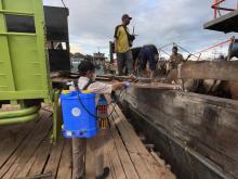 Jelang Iduladha, Karantina Perketat Pengawasan Ribuan Hewan Kurban yang Masuk Kepri