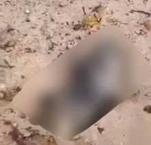 Jasad Bayi Membusuk Ditemukan di Pantai Skilak Nongsa, Polisi Selidiki Identitas Orang Tua
