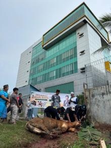 PT Pelayanan Energi Batam Realisasikan Penyembelihan dan Distribusi Hewan Qurban Idul Adha 1447 H