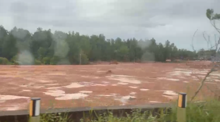 Gakkum Kemenhut Turun Tangan Usut Penimbunan Hutan Produksi di Bawah Jembatan Dompak Tanjungpinang