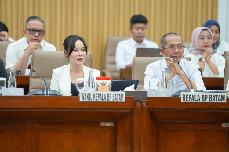 RDP Bersama Komisi VI DPR RI, BP Batam Paparkan Rencana Kerja Anggaran Program Pembangunan Batam