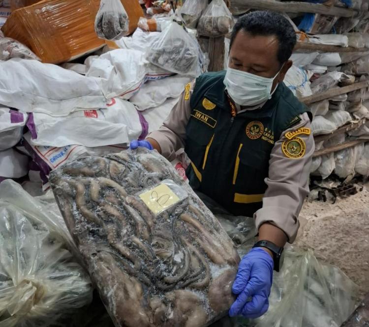 Karantina Kepri Loloskan 290 Ton Ikan Natuna ke Jakarta, Nilai Ekonomi Capai Rp4,45 Miliar