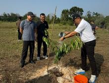 Tebar Keberkahan Bagi Alam, BRK Syariah Ikut Tanam Pohon di Kawasan Stadion Utama Riau