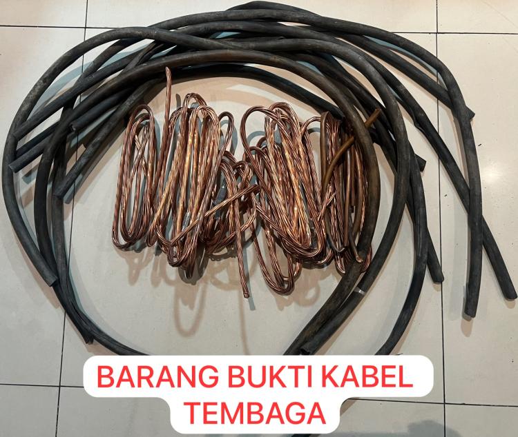 Aksi Curi Kabel di Ruko Nagoya Thamrin City Berakhir di Sel Polsek Lubuk Baja