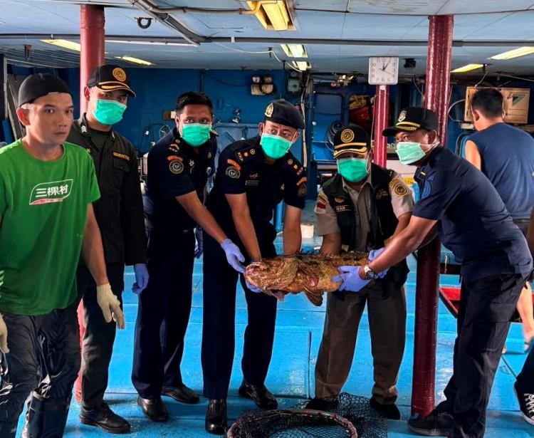 Lolos Karantina, 10.362 Ikan Natuna Dikirim ke Hongkong