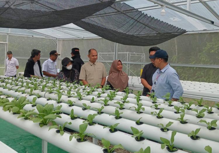 Bappeda Batam Puji Barelang Greenhouse Binaan PT MEG, Jadi Contoh Pertanian Modern
