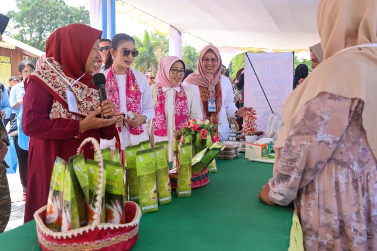 Selvi Ananda Kunjungi Pulau Penyengat, Ziarah ke Makam Raja Ali dan Bagikan Bantuan SD
