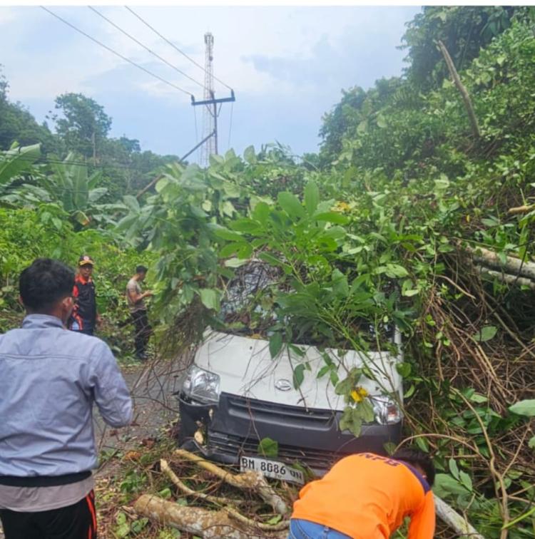 Pohon Tumbang Timpa Mobil Ekspedisi di Siantan, Polsek Siantan Cepat Evakuasi Dua Korban