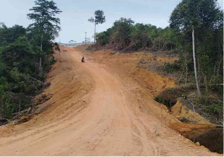 Kemenhut Tetapkan PT GTP Tersangka Kasus Perambahan Hutan Lindung Tanjung Piayu Batam