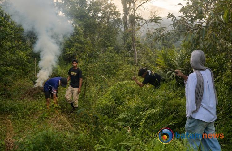 Pokdarwis Panggak Darat Kembangkan Kebun Sayur, Gandeng Mahasiswa KKN STAIN SAR Kepri Buka Lahan