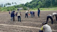 Bukan Cuma Jaga Keamanan, Polsek Jemaja Kini Turun ke Ladang Tanam Jagung Bareng Mahasiswa UGM