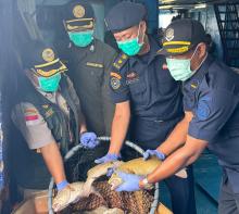 Lolos Karantina, 10.362 Ekor Ikan Asal Natuna Diekspor ke Hong Kong Bernilai Rp1,1 Miliar
