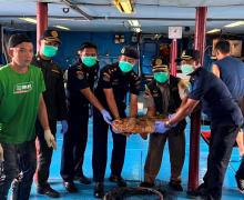 Lolos Karantina, 10.362 Ikan Natuna Dikirim ke Hongkong
