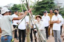 DAS Baloi Indah Disulap Jadi Taman Kota, Li Claudia Dorong Ruang Hijau untuk Warga Batam