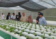 Bappeda Batam Puji Barelang Greenhouse Binaan PT MEG, Jadi Contoh Pertanian Modern
