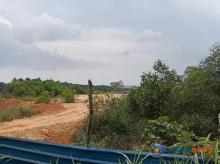 Mangrove Nyaris Ludes, Penimbunan Pesisir Marina City Batam Picu Kekhawatiran Kerusakan Lingkungan