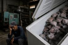 Mesin PLN di Mensanak Lingga Kembali Rusak, Nelayan Cemas Hasil Tangkapan Terancam Busuk
