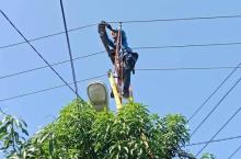 PLN Batam Gencarkan Pemeliharaan Preventif, Cegah Gangguan Listrik Berkepanjangan