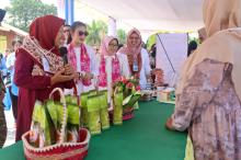 Selvi Ananda Kunjungi Pulau Penyengat, Ziarah ke Makam Raja Ali dan Bagikan Bantuan SD