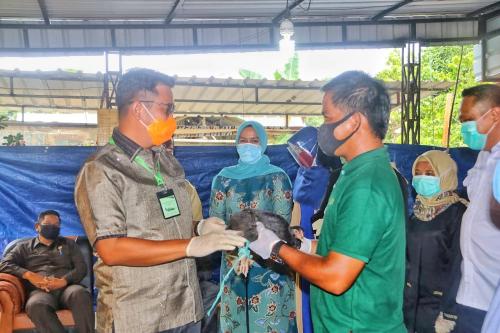 Bupati Bintan Melaunching Program Kampung Ayam di Kelurahan Seienam, Dukung Peningkatan Petani Milenial